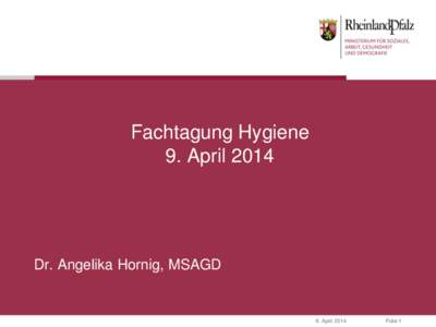 Fachtagung Hygiene 9. April 2014 Dr. Angelika Hornig, MSAGD  9. April 2014