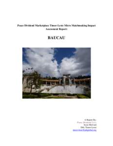 Microsoft Word - Baucau Impact Assessment.docx