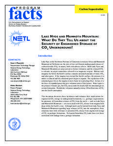 Lake Nyos and Mammoth Mountain: What Do They Tell Us about the Security of Engineered Storage of CO2 Underground?