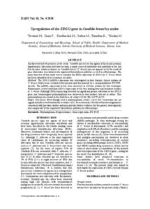 Antifungals / Molecular biology / Fungal diseases / Triazoles / Candida krusei / Candida dubliniensis / Candida albicans / Fungemia / Fluconazole / Biology / Chemistry / Yeasts