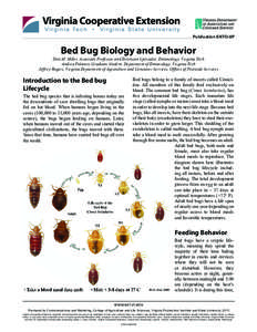 Publication ENTO-8P  Bed Bug Biology and Behavior Dini M. Miller, Associate Professor and Extension Specialist, Entomology, Virginia Tech Andrea Polanco, Graduate Student, Department of Entomology, Virginia Tech