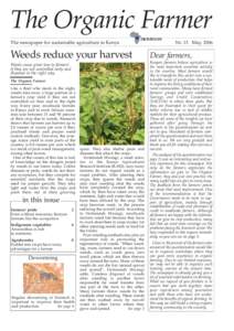 The Organic Farmer The newspaper for sustainable agriculture in Kenya Weeds reduce your harvest Weeds cause great loss to farmers if they are not controlled early and