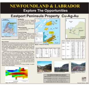 NEWFOUNDLAND & LABRADOR Explore The Opportunities Eastport Peninsula Property Cu-Ag-Au CENTRAL (IAPETAN)  N