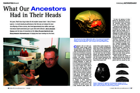 FASCINATING Research  Evolutionary ANTHROPOLOGY What Our Ancestors Had in Their Heads