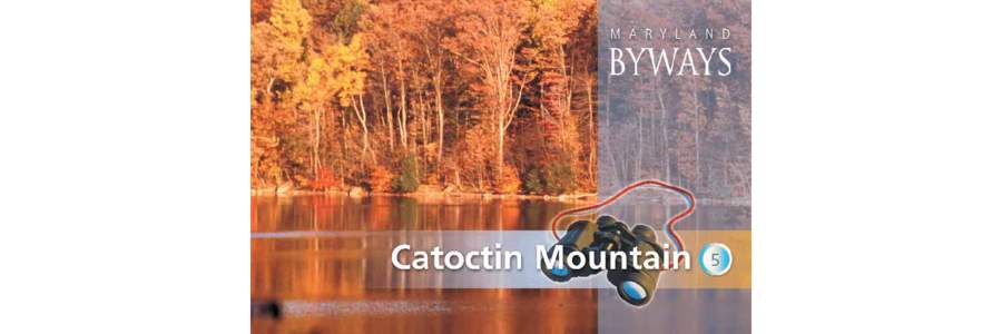 While the hardwood forests encircling Catoctin Mountain are a natural wonder, serving as a sanctuary for wildlife and plants, surrounding towns offer a deep exploration of the area’s rich industrial heritage. The moun