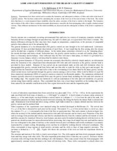 LOBE AND CLEFT FORMATION AT THE HEAD OF A GRAVITY CURRENT J. N. McElwaine & M. D. Patterson Department of Applied Mathematics and Theoretical Physics, Centre for Mathematical Sciences, University of Cambridge, Wilberforc