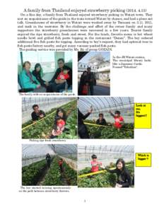 A family from Thailand enjoyed strawberry pickingOn a fine day, a family from Thailand enjoyed strawberry picking in Watari town. They met an acquaintance of the guide in the train toward Watari by chance, 