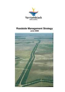 ARARAT ROADSIDE MANAGEMENT STRATEGY