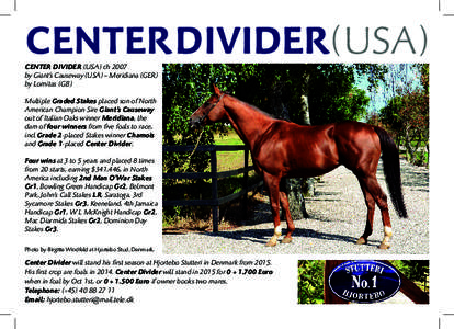 CENTER DIVIDER (USA) CENTER DIVIDER (USA) ch 2007 by Giant’s Causeway (USA) – Meridiana (GER) by Lomitas (GB) Multiple Graded Stakes placed son of North American Champion Sire Giant’s Causeway