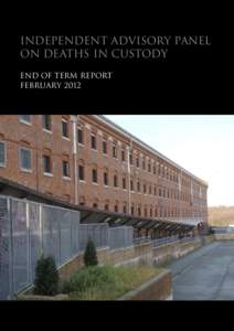 Microsoft Word - Independent Advisory Panel on Deaths in Custody _3_.doc