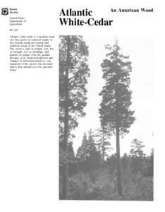 Flora of North America / Juniperus virginiana / Cedar wood / Gordonia lasianthus / Thuja occidentalis / Pinus strobus / Nyssa sylvatica / Taxodium distichum / Cedar Waxwing / Flora of the United States / Ornamental trees / Medicinal plants