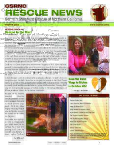 German shepherds / Military animals / Rescue dog / Bo / Rajah / Pet adoption / Lucky / Rex the Wonder Dog