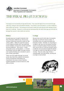 Feral / Pig / Wild boar / Domestic pig / Sodium fluoroacetate / Dingo / Classical swine fever / Feral goats in Australia / Invasive species in Australia / Zoology / Biology / Agriculture
