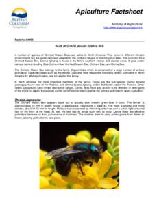Mason bee / Megachilidae / Osmia lignaria / Bee / Megachile rotundata / Megachile / Honey bee / Forage / Wasp / Plant reproduction / Pollination / Pollinators
