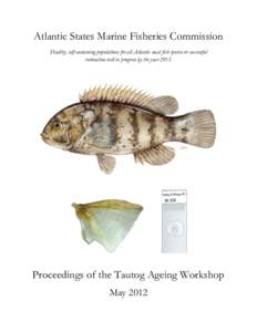 Tautog / Otolith / Operculum / Atlantic States Marine Fisheries Commission / Fish anatomy / United States / Biology