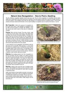 Natural Area Revegetation - How to Plant a Seedling The City of Bunbury revegetates degraded natural areas every year. The aim of this revegetation is to rehabilitate formerly cleared habitat and to create buffer zones a