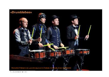 2012_LF_SOMMER_Drumblebee_09092012_(c)_LF_Peter_Fischli_03