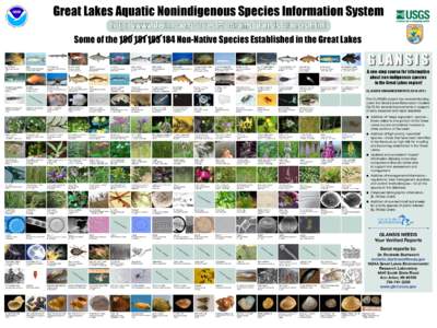 Great Lakes Aquatic Nonindigenous Species Information System  IC N IS