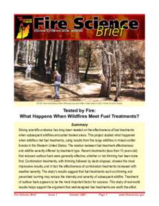 Forestry / Firefighting / Natural hazards / Ecological succession / Fire / Firebreak / Controlled burn / Fuel model / Fire ecology / Wildfires / Systems ecology / Wildland fire suppression