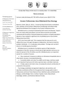 Western United States / Whitebark Pine / Yellowstone National Park / Grand Teton National Park / Bridger-Teton National Forest / Shoshone National Forest / Cronartium ribicola / Caribou-Targhee National Forest / Yellowstone-Teton Clean Energy Coalition / Wyoming / Greater Yellowstone Ecosystem / Geography of the United States