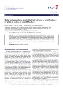 SICOT J 2015, 1, 14 Ó The Authors, published by EDP Sciences, 2015 DOI: sicotjAvailable online at: www.sicot-j.org