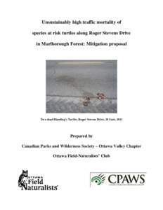 Unsustainably high traffic mortality of species at risk turtles along Roger Stevens Drive in Marlborough Forest: Mitigation proposal Two dead Blanding’s Turtles, Roger Stevens Drive, 20 June, 2013