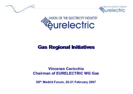 Gas Regional Initiatives  Vincenzo Cavicchia Chairman of EURELECTRIC WG Gas XIIth Madrid Forum, 20-21 February 2007