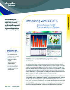 Business intelligence / 4GL / FOCUS / Cloud applications / Salesforce.com / Information Builders / Search-based application / Internet / Customer relationship management / Business / Computing / Information technology management
