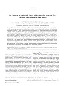 Development of transgenic finger millet (Eleusine coracana (L.) Gaertn.) resistant to leaf blast disease S IGNACIMUTHU* and S ANTONY CEASAR Division of Plant Biotechnology, Entomology Research Institute, Loyola College, 