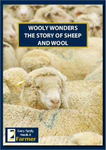 WOOLY WONDERS THE STORY OF SHEEP AND WOOL 2