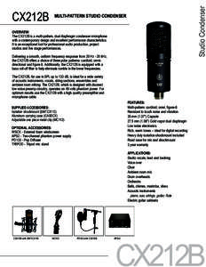 Signal processing / Electronics / Mass media / Phantom power / Loudspeaker / Shure SM58 / PZM / Microphones / Sound recording / Audio engineering