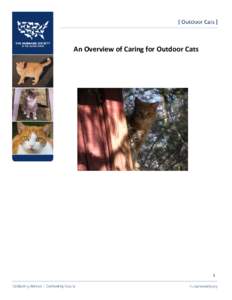 An Overview of Caring for Outdoor Cats  1 Table of Contents Looking at the Big Picture ...................................................................................3