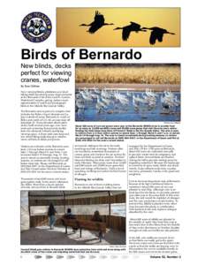 Birds of Bernardo New blinds, decks perfect for viewing cranes, waterfowl By Tom Chilton New viewing blinds, platforms and short