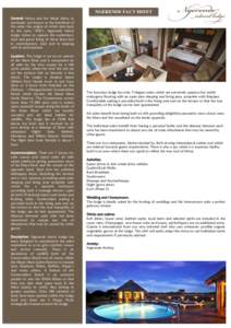 NGERENDE FACT SHEET General: Kenya and the Masai Mara, in particular, are known as the heartbeat of the safari, the origins of which date back to the early 1920’s. Ngerende Island Lodge strives to capture the excitemen