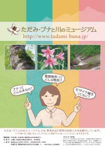 http://www.tadami-buna.jp/  雪食地形って どんな地形？ て ブナっ 木なの？