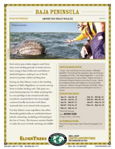 Baja Peninsula Detailed Itinerary Among the Great Whales  Feb 23/15