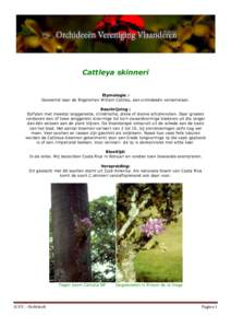 Cattleya skinneri Etymologie : Genoemd naar de Engelsman William Cattley, een orchideeën verzamelaar. Beschrijving : Epifyten met meestal langgerekte, cilindrische, dikke of dunne schijnknollen. Daar groeien vanboven ee