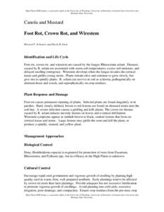 Microsoft Word - FootRotCrownRotWirestem-CanolaMustard.doc