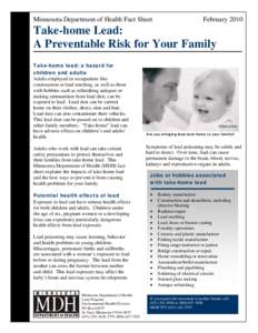 Minnesota Department of Health Fact Sheet  February 2010 Take-home Lead: A Preventable Risk for Your Family