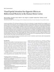 The Journal of Neuroscience, January 22, 2014 • 34(4):1475–1480 • 1475  Brief Communications Visual Spatial Attention Has Opposite Effects on Bidirectional Plasticity in the Human Motor Cortex