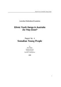 Report No 4: Somalian Young People  Australian Multicultural Foundation Ethnic Youth Gangs in Australia Do They Exist?