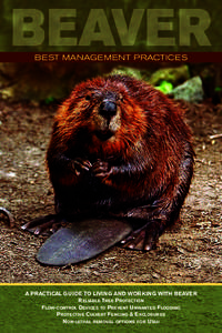 BEST MANAGEMENT PRACTICES  A PRACTICAL GUIDE TO LIVING AND WORKING WITH BEAVER R ELIABLE TREE PROTECTION FLOW-CONTROL D EVICES TO PREVENT U NWANTED FLOODING PROTECTIVE CULVERT FENCING & EXCLOSURES