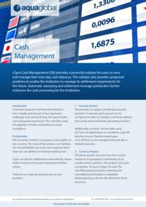 Cash Management e²gen Cash Management (CM) provides a powerful solution for users to view and manage their intra-day cash balances. The solution also provides projected positions to enable the institution to manage its 