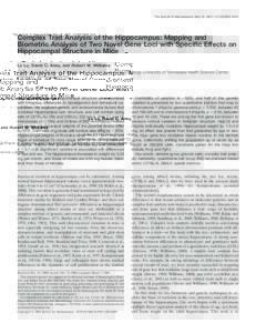 The Journal of Neuroscience, May 15, 2001, 21(10):3503–3514  Complex Trait Analysis of the Hippocampus: Mapping and Biometric Analysis of Two Novel Gene Loci with Specific Effects on Hippocampal Structure in Mice Lu Lu