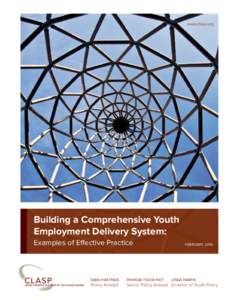 www.clasp.org  Building a Comprehensive Youth Employment Delivery System: Examples of Effective Practice