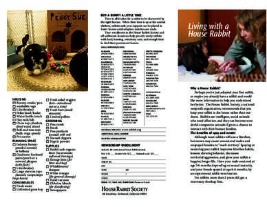 Biology / Agriculture / House rabbit / Rabbit / House Rabbit Society / Chew toy / Domestic rabbit / Polish rabbit / Pet rabbits / Rabbit breeds / Zoology
