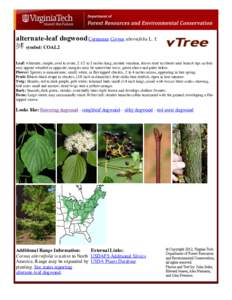 Cornus / Pagoda dogwood / Flora of the United States / Cornaceae / Medicinal plants