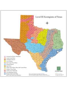 Level III Ecoregions of Texas with County Names