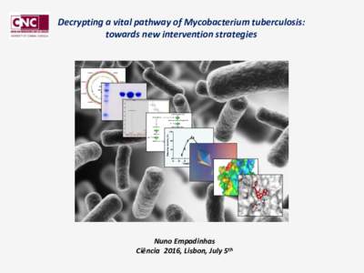 Decrypting a vital pathway of Mycobacterium tuberculosis: towards new intervention strategies