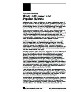 Populus trichocarpa  Black Cottonwood and Populus Hybrids Black cottonwood (Populus trichocarpa) is the largest broadleaf tree species of the Pacific Northwest (Fowells[removed]This tree is found throughout Washington